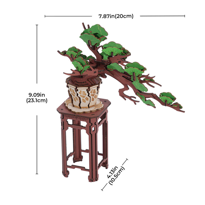 Rolife Evergreen Pine Bonsai TG510 dimension diagram showing 7.87 by 9.09 inch measurements in gray on white