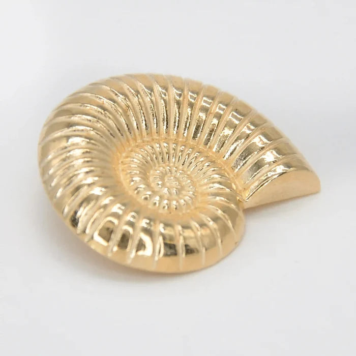 Sea Shell Metal Buttons | 30mm(47L)