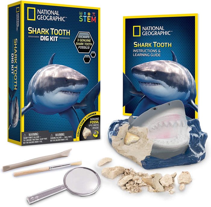 Shark Tooth Dig Kit