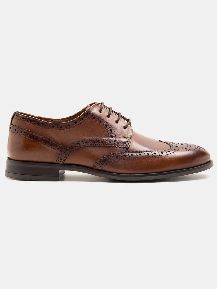 Sheffield Brogue Dark Tan  TC-2314DTN