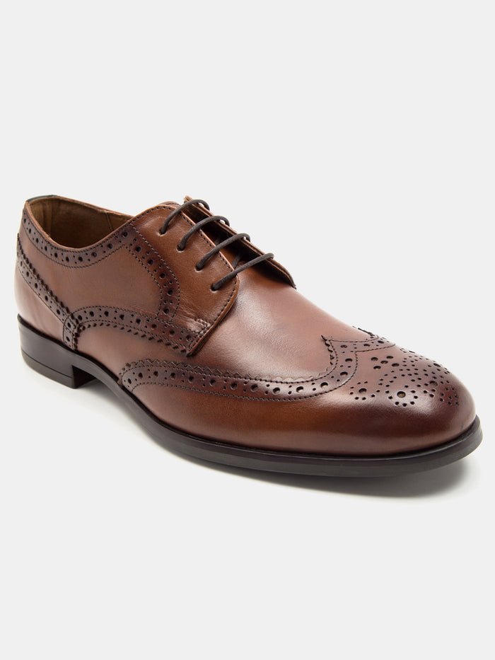 Sheffield Brogue Dark Tan  TC-2314DTN