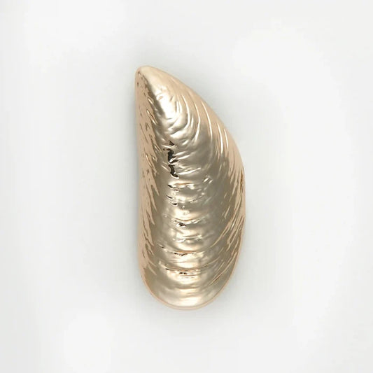 Buy Now Ani Accessories Shell-Shaped Ornamental Buckle  with reflection in a white background.