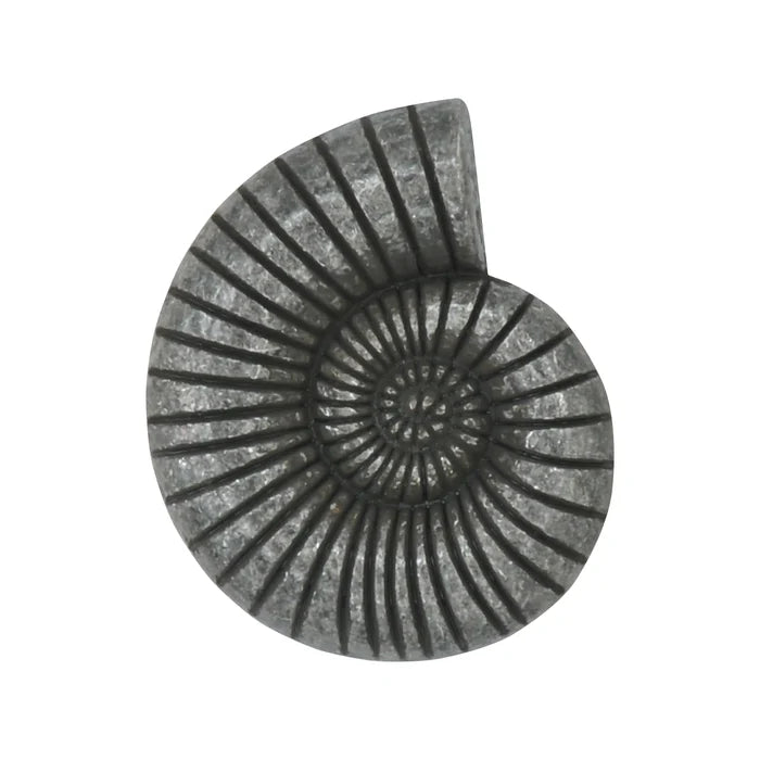 Shell Style Metal Buttons | 34mm(54L)