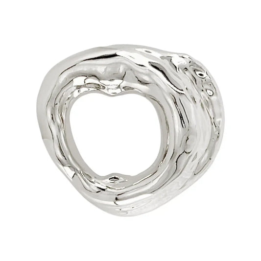 Ani Accessories Shiny Silver Metal Buckle Zooming image  in the white background. buckle for DIY, CRAFT and fashion wear.