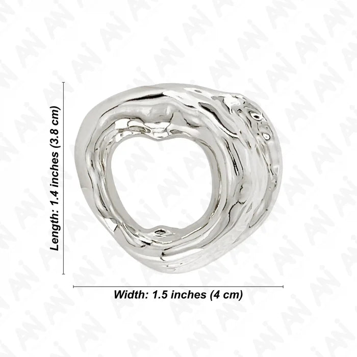 Ani Accessories Shiny Silver Metal Buckle size written on the white background.