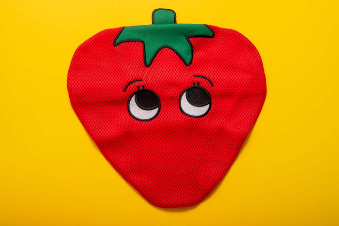 Strawberry Wash Bag