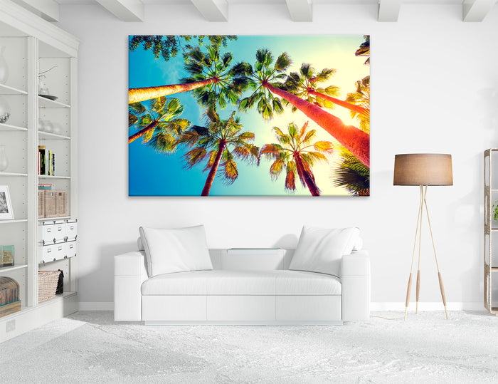 Sunset Palm Art Canvas Print #7600