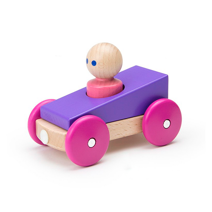 Tegu Magnetic Racers