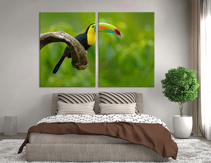 Toucan Bird Canvas Print #8022