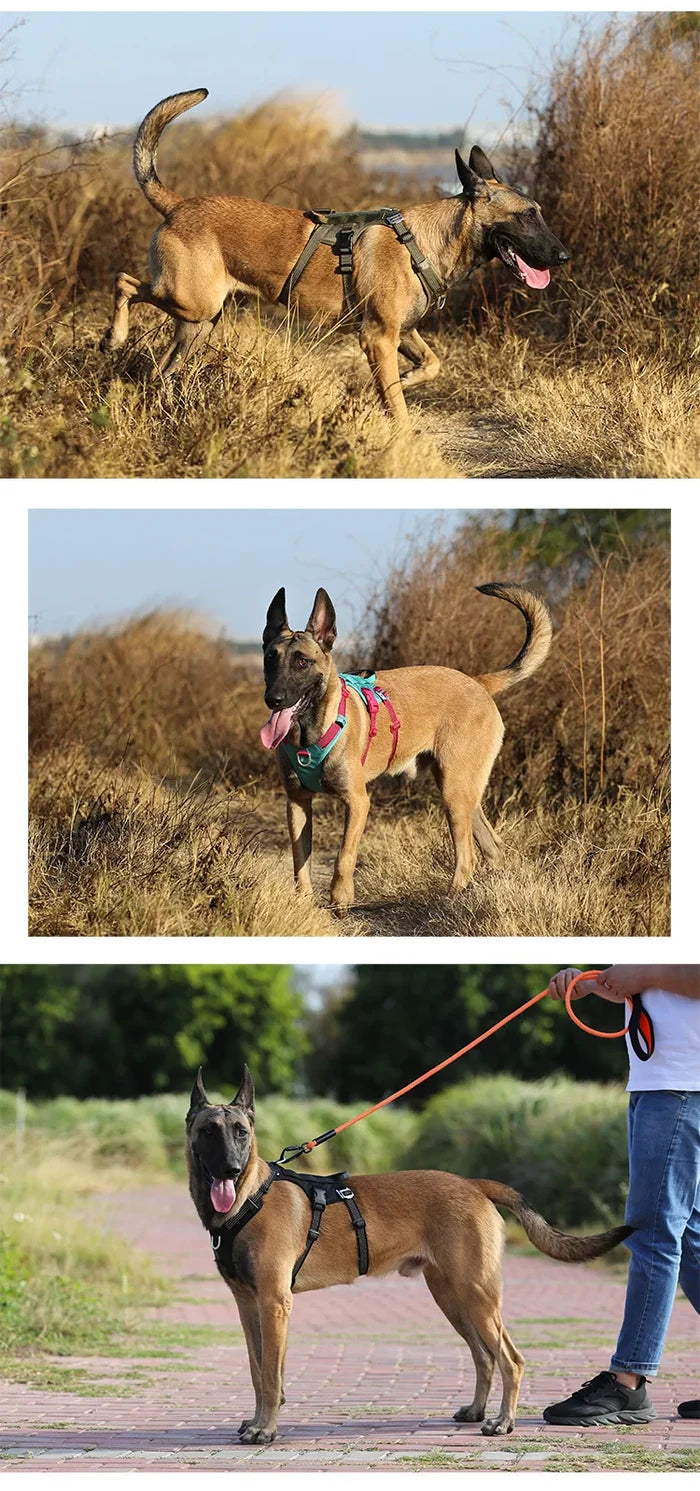 Truelove Escape-proof Reflective Tactic Dog Harness Model Number:TLH7011 - Dog.Dog.Cat.