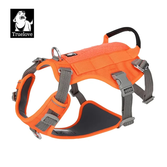 Medium / Grey/Orange