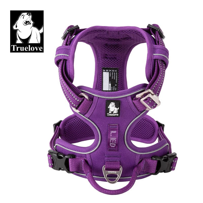 Purple / XS