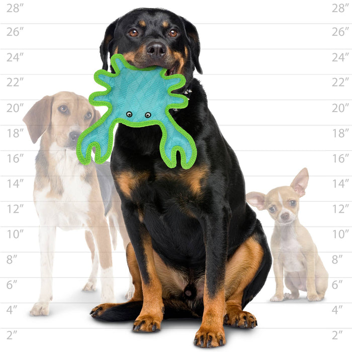 Tuffy Dog Toys - VIP Products - DuraForce Crab Tiger - Blue/Green, Durable, Squeaky Dog Toy - Dog.Dog.Cat.