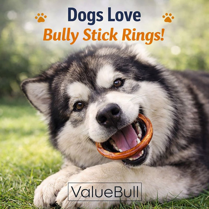 ValueBull Bully Stick Rings for Dogs, Varied, 50 Count - Donut - 50 Rings