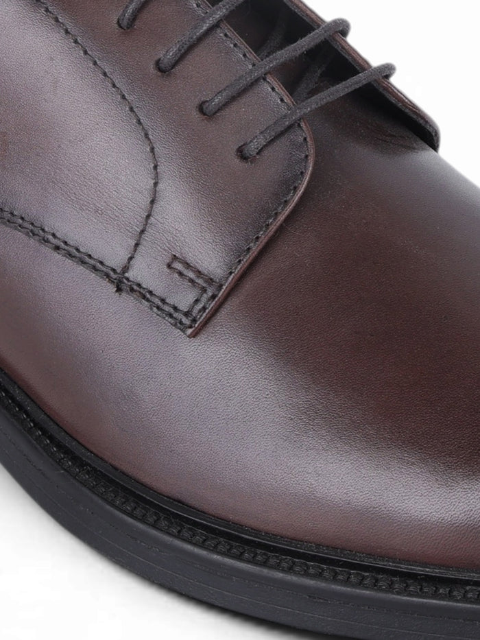 Vance Brown Lace Up Derby  Shoes| Premium Genuine Leather Formal Shoes |TC-2655BR