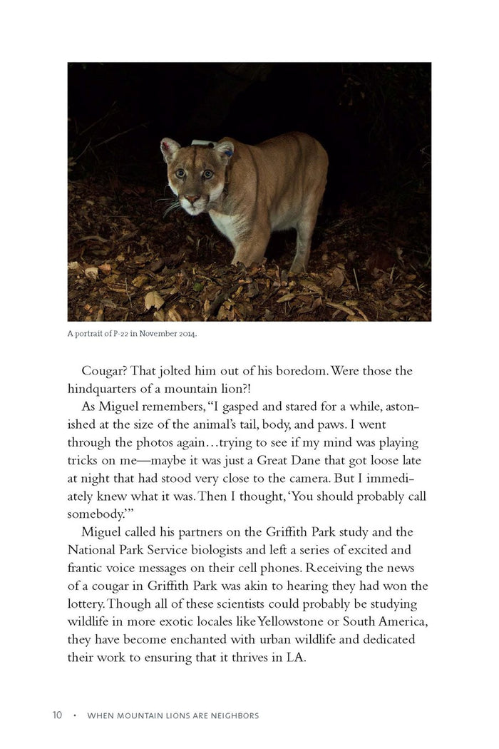 When Mountain Lions are Neighbors