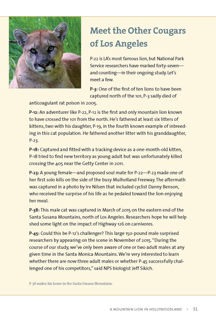 When Mountain Lions are Neighbors