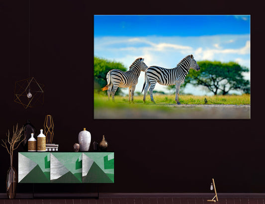 Zebras Canvas Print #8043